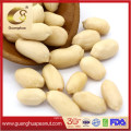 EU Quality Blanched Peanut Kernels 2021 New Crop